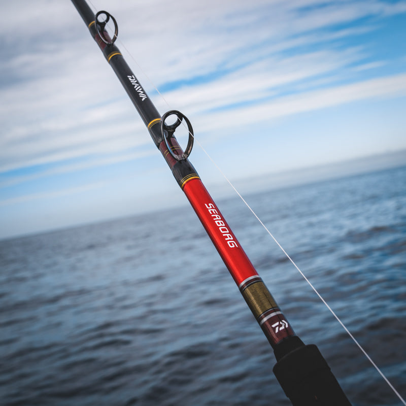 SEABORG DENDOH ROD